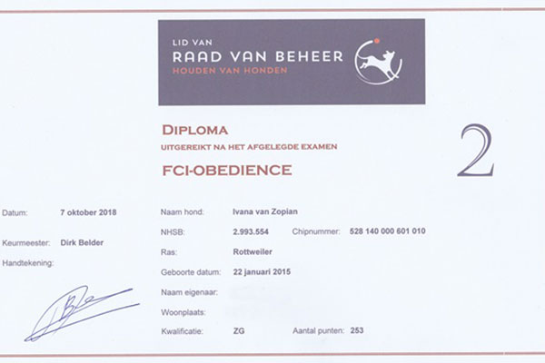 certificaat FCI Obedience 2 Ivana