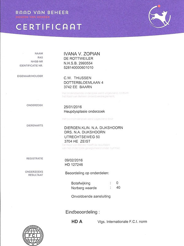 certificaat HD beoordeling Ivana