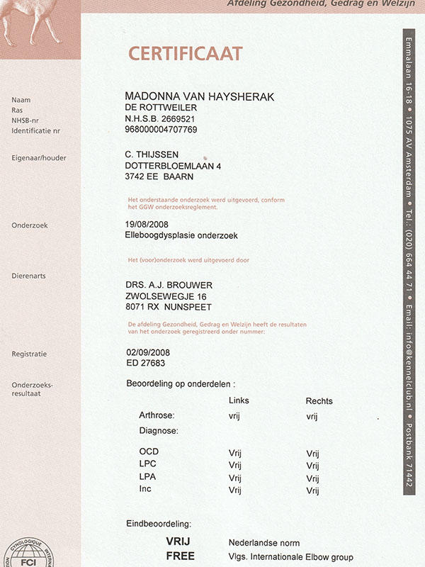 certificaat ED Madonna