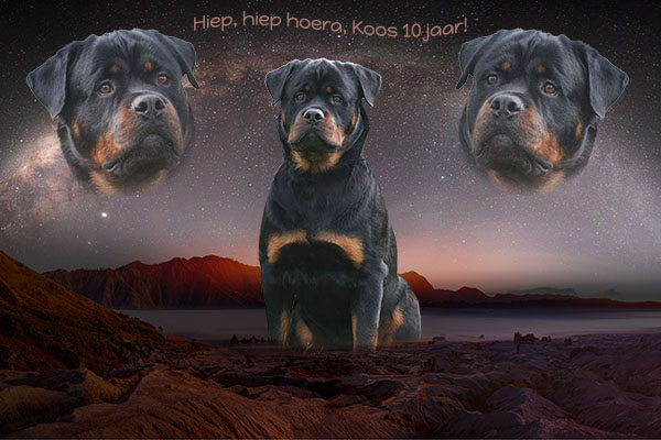 verjaardag-koos-van-zopian