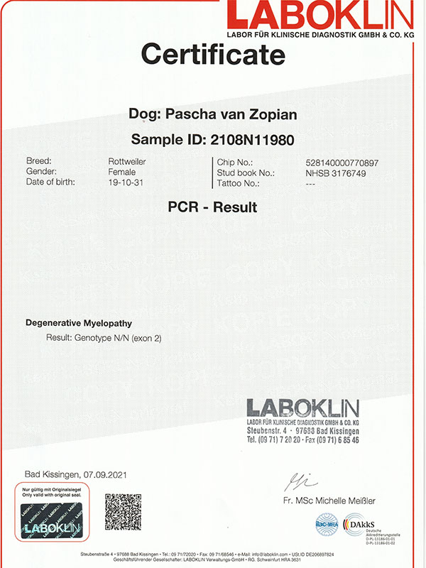 certificaat DM Pascha