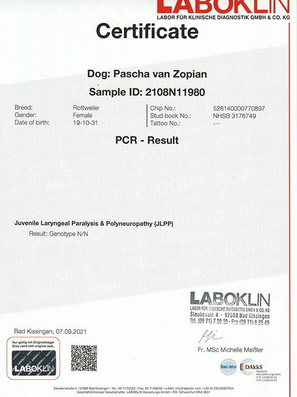 certificaat JLPP Pascha