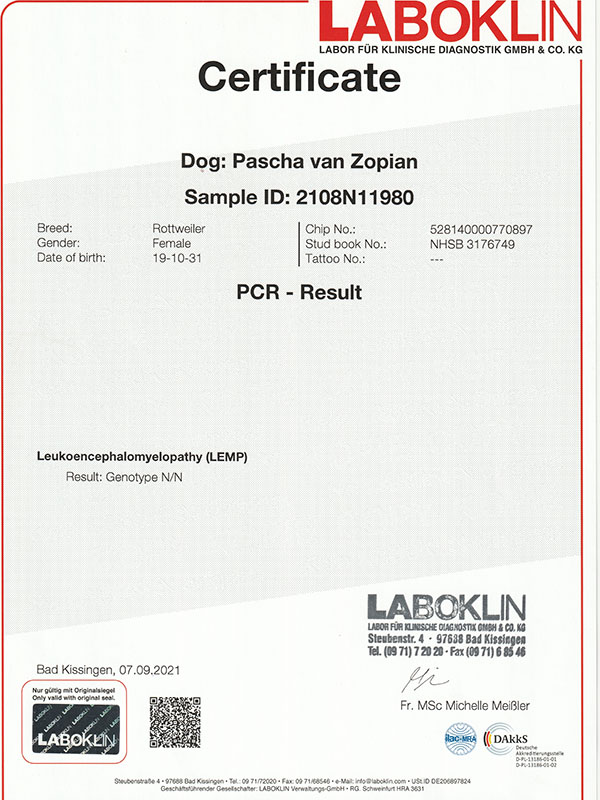 certificaat LEMP Pascha