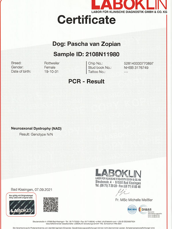 certificaat NAD Pascha