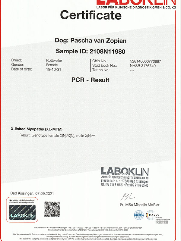 certificaat XL-MTM Pascha