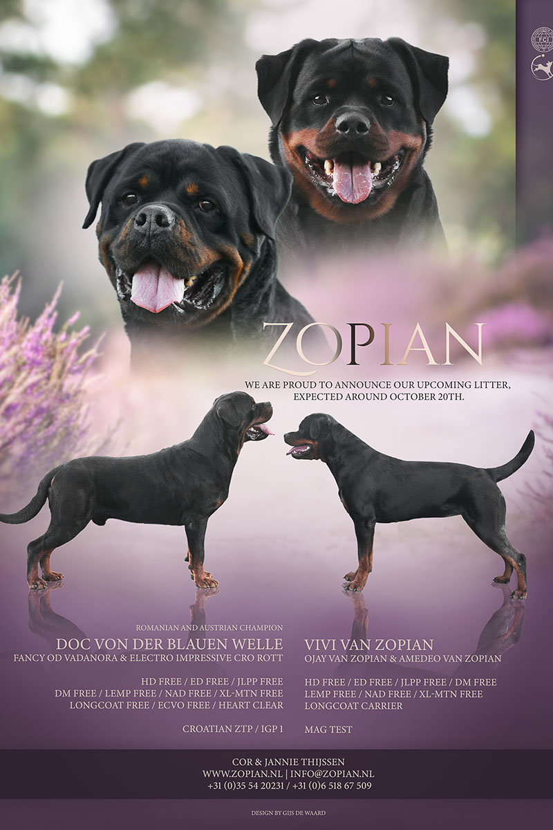 aankondiging-puppy-s-a2-nest