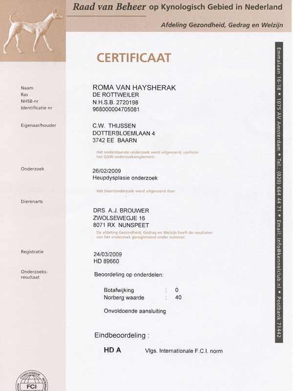 certificaat HD beoordeling Roma