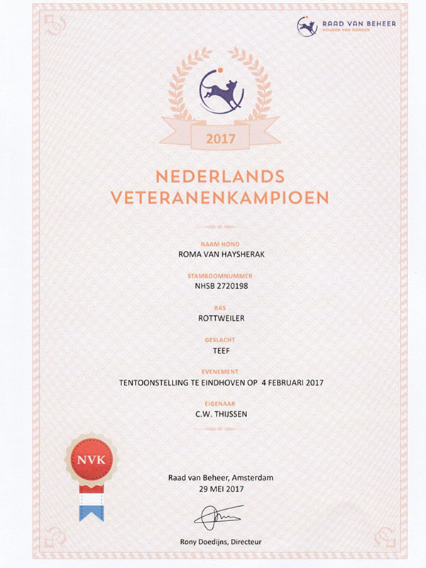 certificaat veteranenkampioen Roma