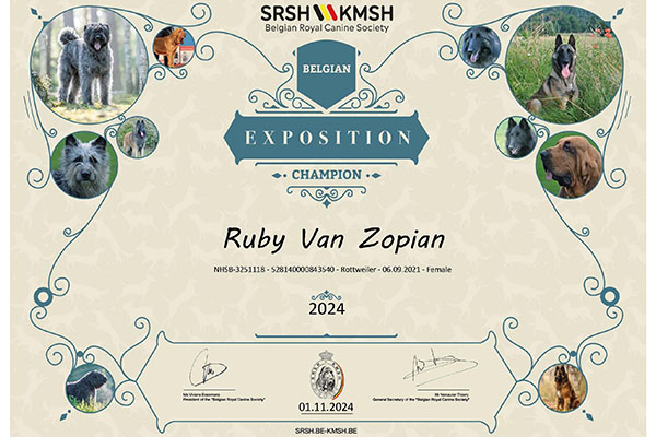 certificaat-belgisch-kampioen-ruby