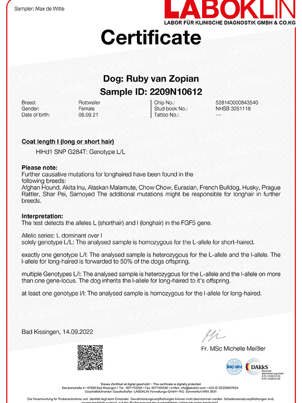 certificaat-coat-Ruby