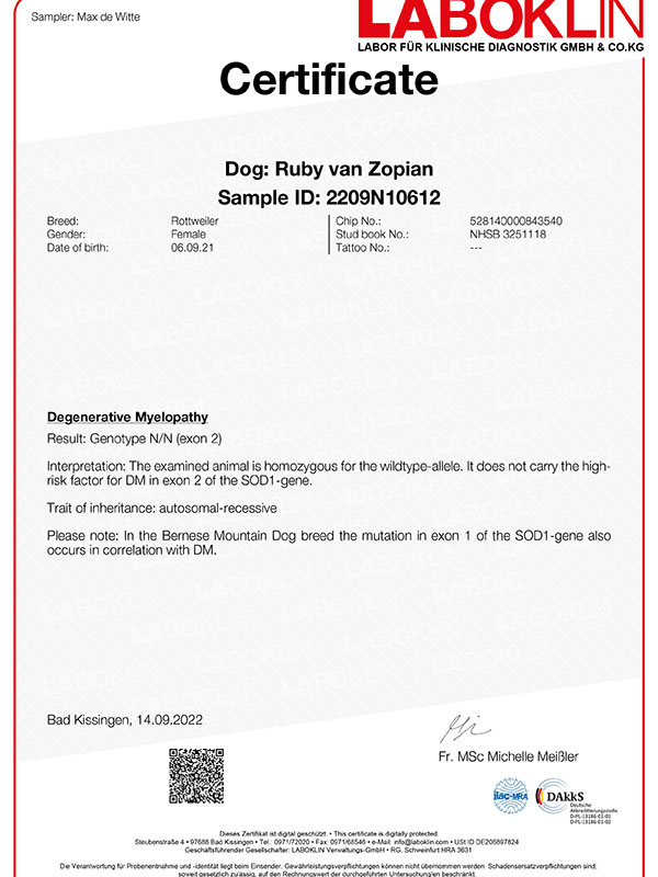 certificaat-dm-Ruby