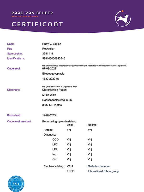 certificaat-ed-Ruby