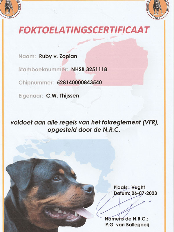 certificaat-foktoelating-ruby