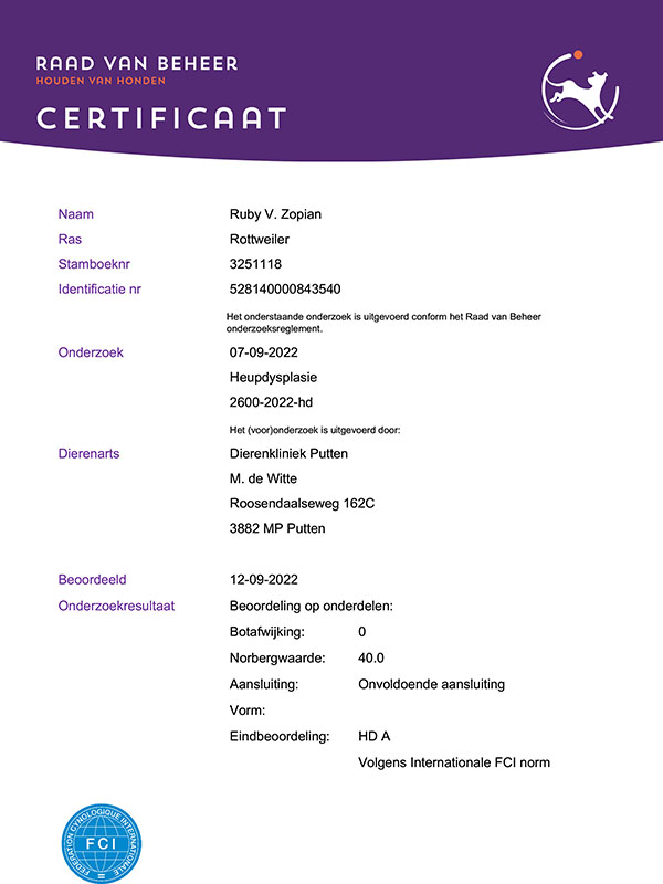 certificaat-hd-Ruby