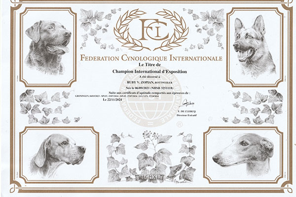 certificaat-internationaal-kampioen-ruby