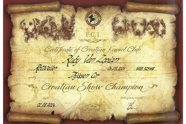 certificaat-kroatisch-kampioen-ruby