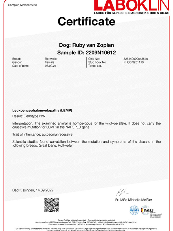 certificaat-lemp-Ruby