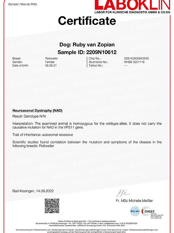 certificaat-nad-Ruby