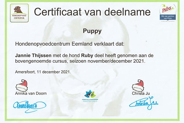 certificaat-puppy-Ruby
