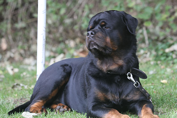 zopian-familiedag 10