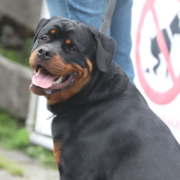 zopian-familiedag 101