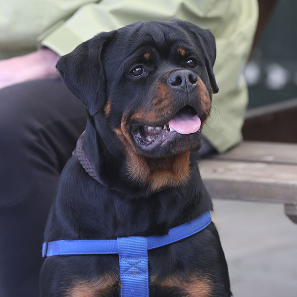 zopian-familiedag 102