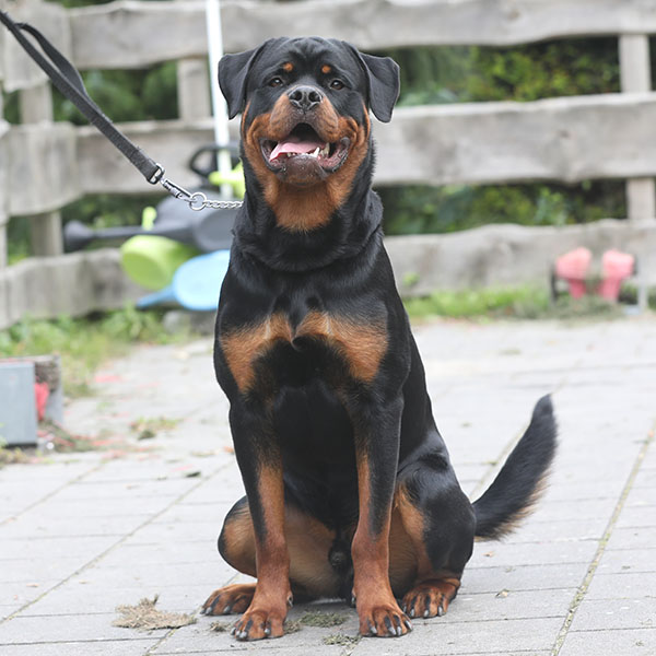 zopian-familiedag 103