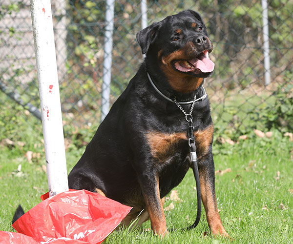 zopian-familiedag 15