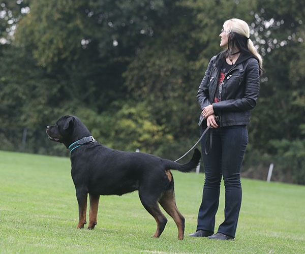 zopian-familiedag 30