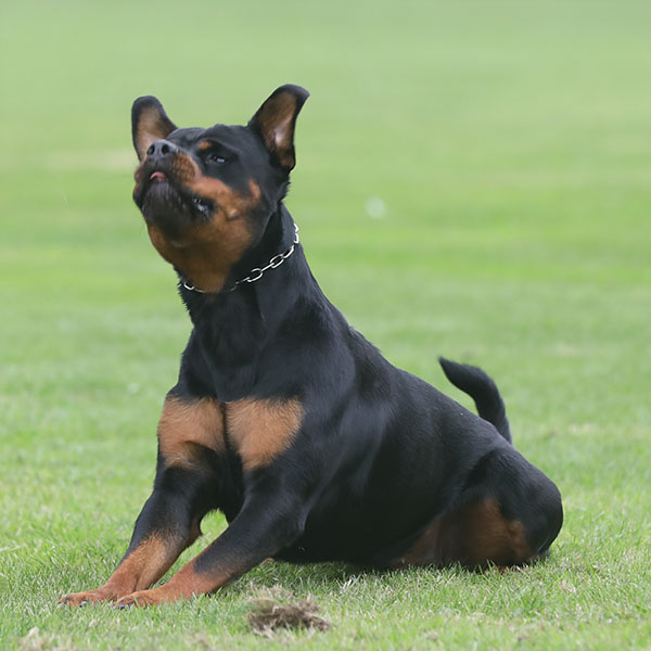 zopian-familiedag 34