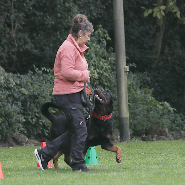 zopian-familiedag 35