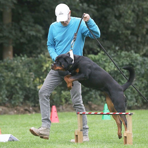 zopian-familiedag 38