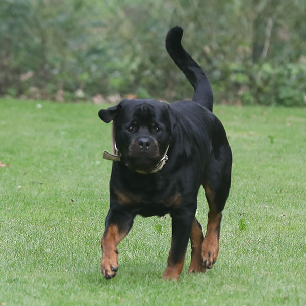 zopian-familiedag 40