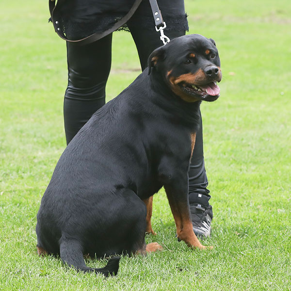 zopian-familiedag 49