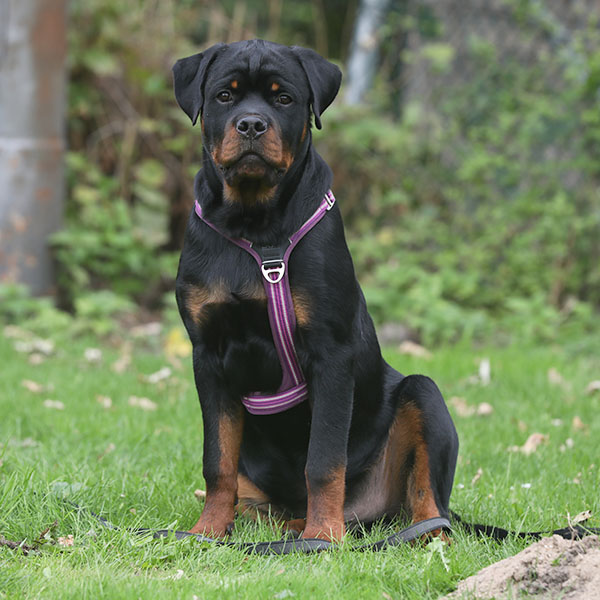 zopian-familiedag 54