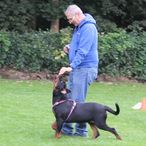 zopian-familiedag 56