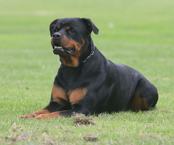 zopian-familiedag 57