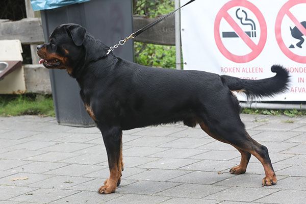 zopian-familiedag 62