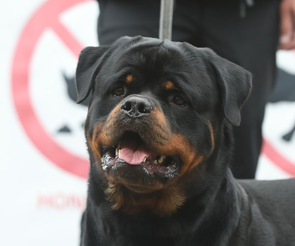 zopian-familiedag 63