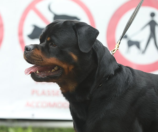 zopian-familiedag 64