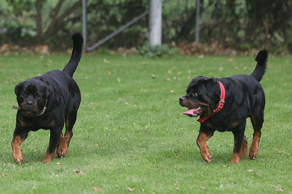 zopian-familiedag 65