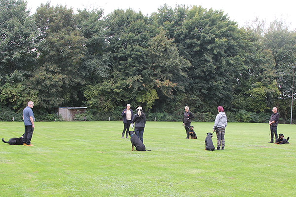 zopian-familiedag 72