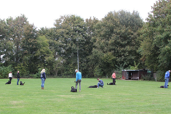 zopian-familiedag 75