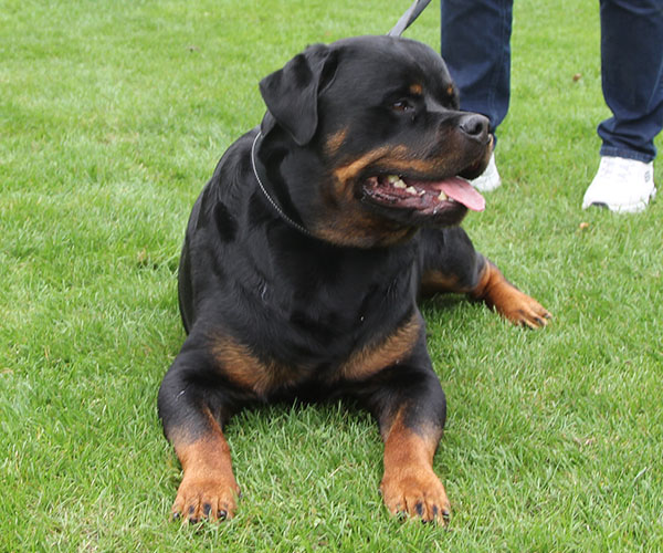 zopian-familiedag 91