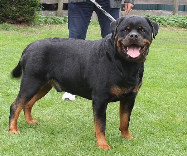 zopian-familiedag 92