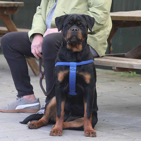 zopian-familiedag 95