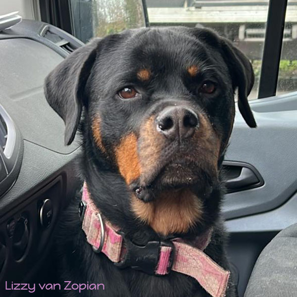 Lizzy-van-Zopian