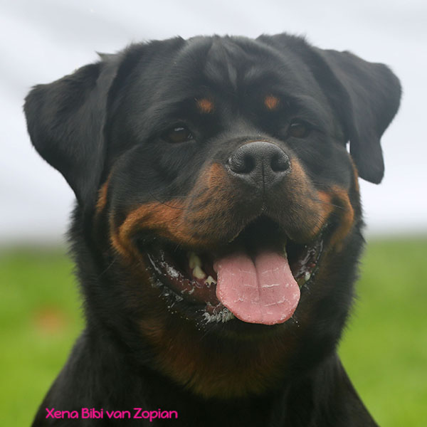 xena-bibi-van-zopian