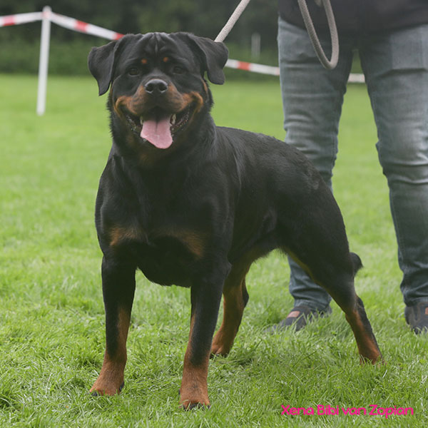 xena-bibi-van-zopian