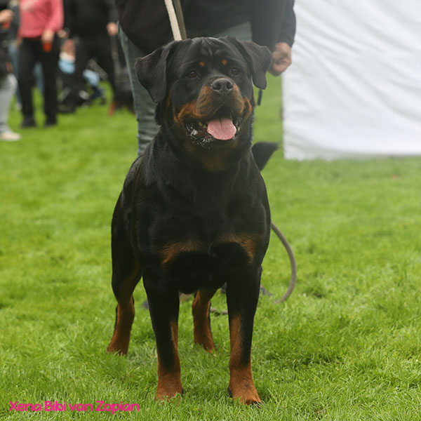 xena-bibi-van-zopian